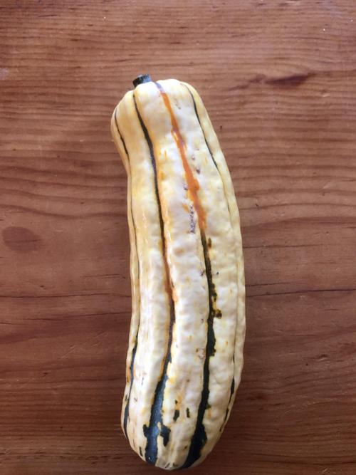 Organic Delicata Squash