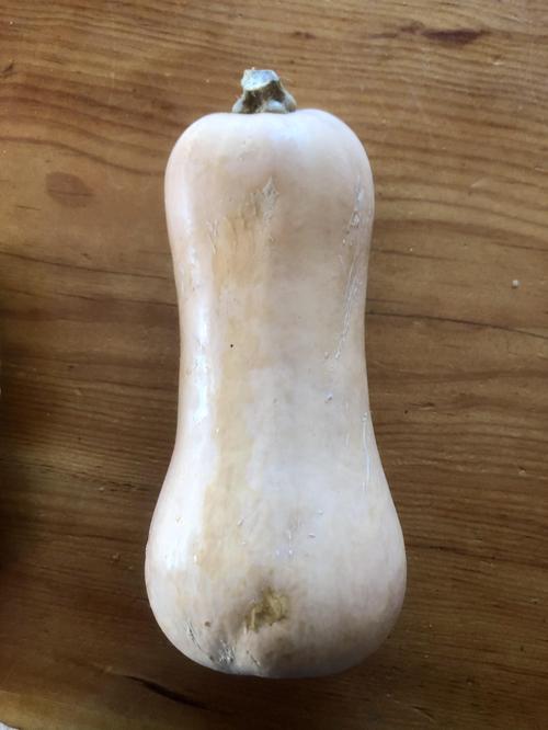 Organic Butternut Squash