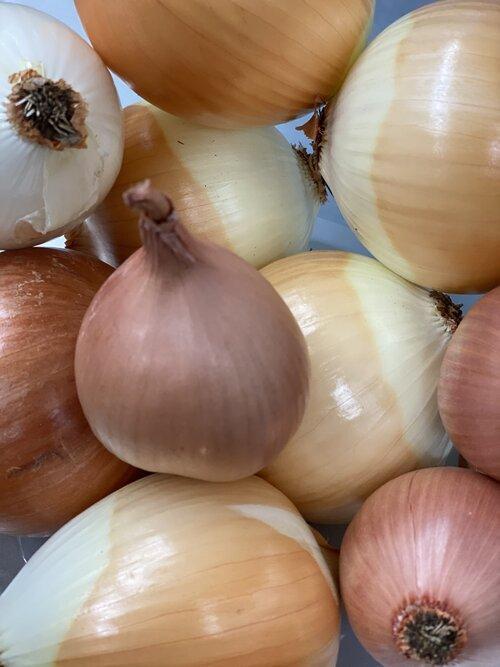 Onions